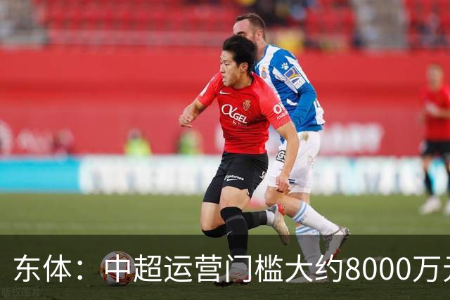 东体：中超运营门槛大约8000万元，南通支云在中甲预算5000万