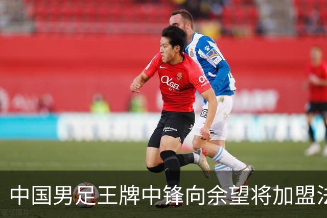 中国男足王牌中锋向余望将加盟法甲里昂，欢乐与谣言并存