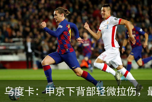 乌度卡：申京下背部轻微拉伤，最多缺席几场