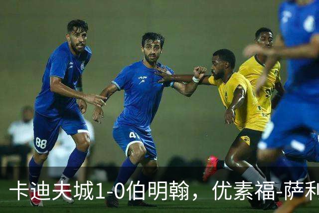 卡迪夫城1-0伯明翰，优素福-萨利赫一击制胜