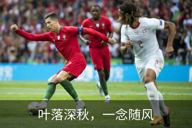 叶落深秋，一念随风