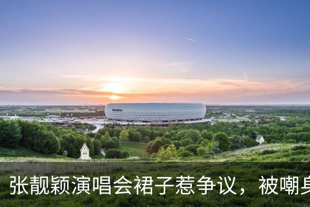 张靓颖演唱会裙子惹争议，被嘲身材翻车，真相比你想的扎心