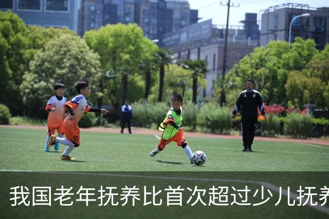我国老年抚养比首次超过少儿抚养比
