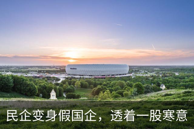 民企变身假国企，透着一股寒意