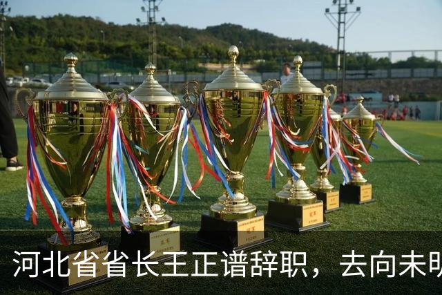 河北省省长王正谱辞职，去向未明