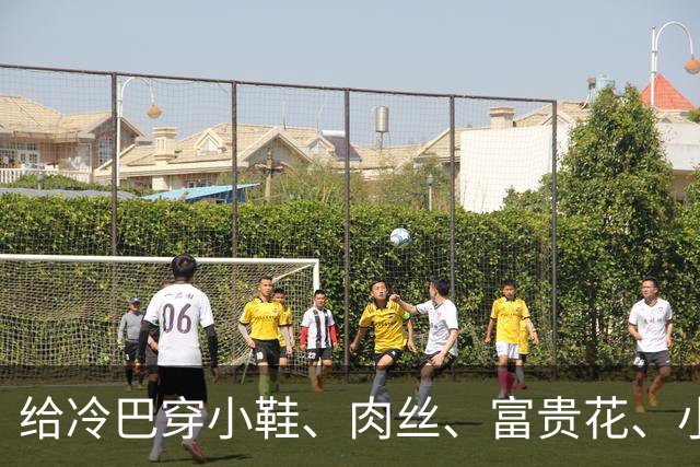 给冷巴穿小鞋、肉丝、富贵花、小刀、杜妈、坡姐