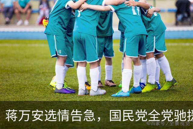 蒋万安选情告急，国民党全党驰援，这两蓝委加入竞总担任总干事