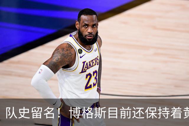 队史留名！博格斯目前还保持着黄蜂队史助攻数和抢断数纪录