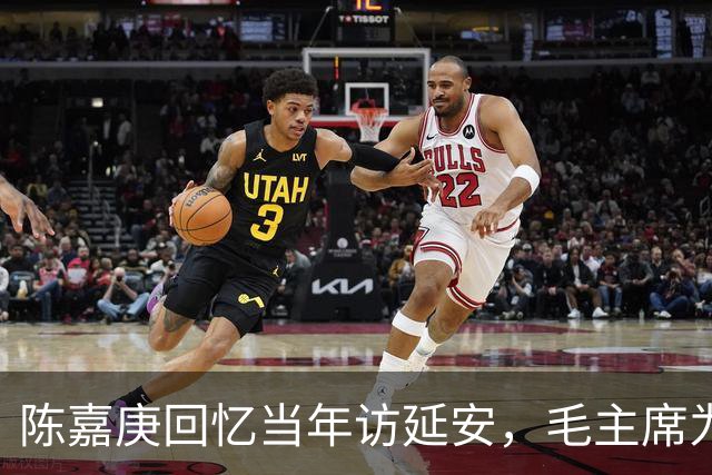 陈嘉庚回忆当年访延安，毛主席为招待我，连鸡肉也是借来的！