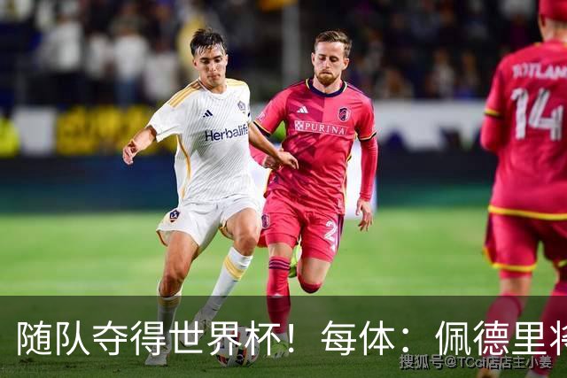 随队夺得世界杯！每体：佩德里将获颁家乡颁发的2026加那利体育奖