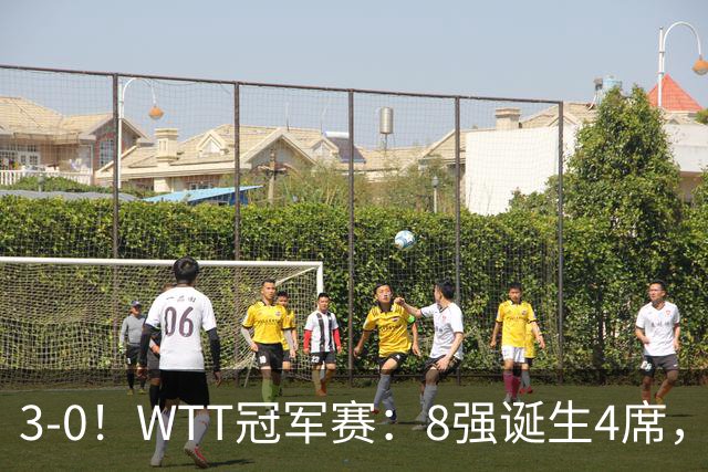 3-0！WTT冠军赛：8强诞生4席，王曼昱爆冷出局，林诗栋强势零封